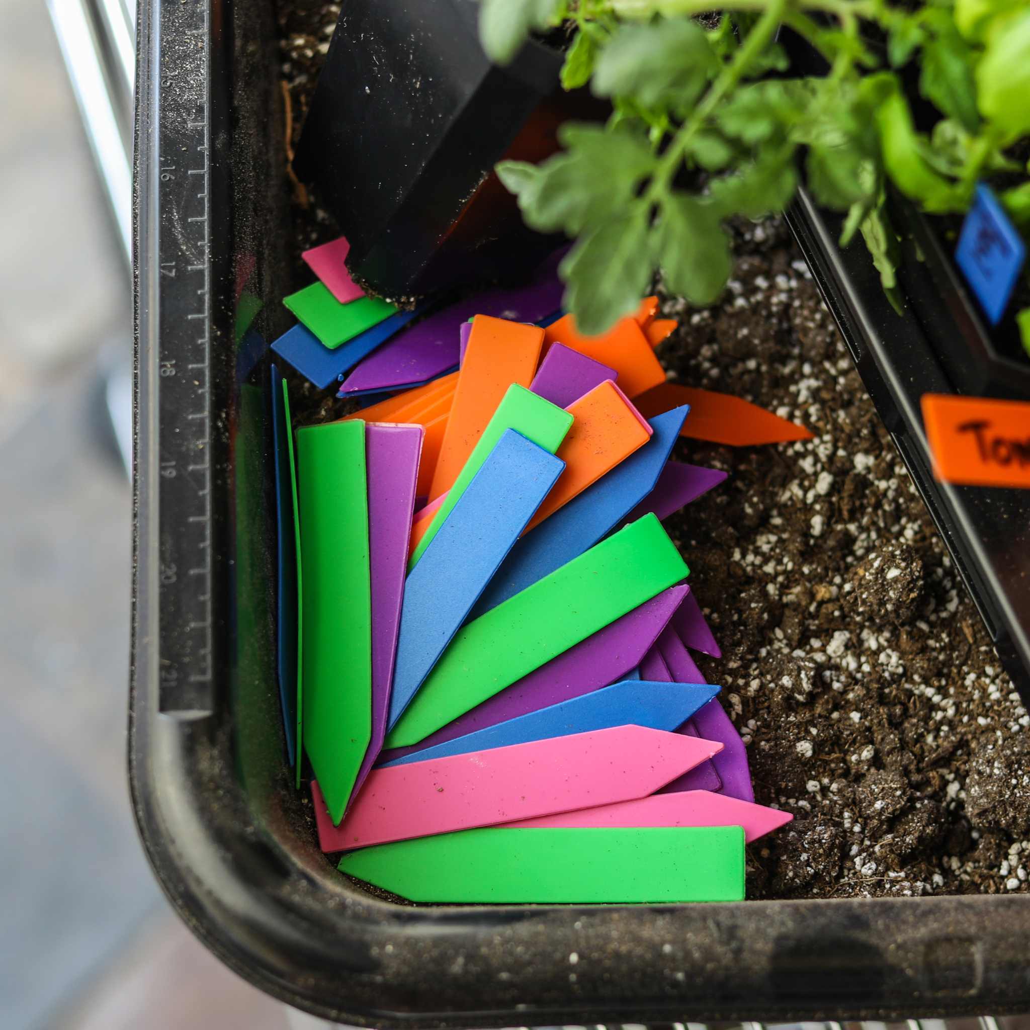 Multi-color Plant Labels | 100 count - Image 5