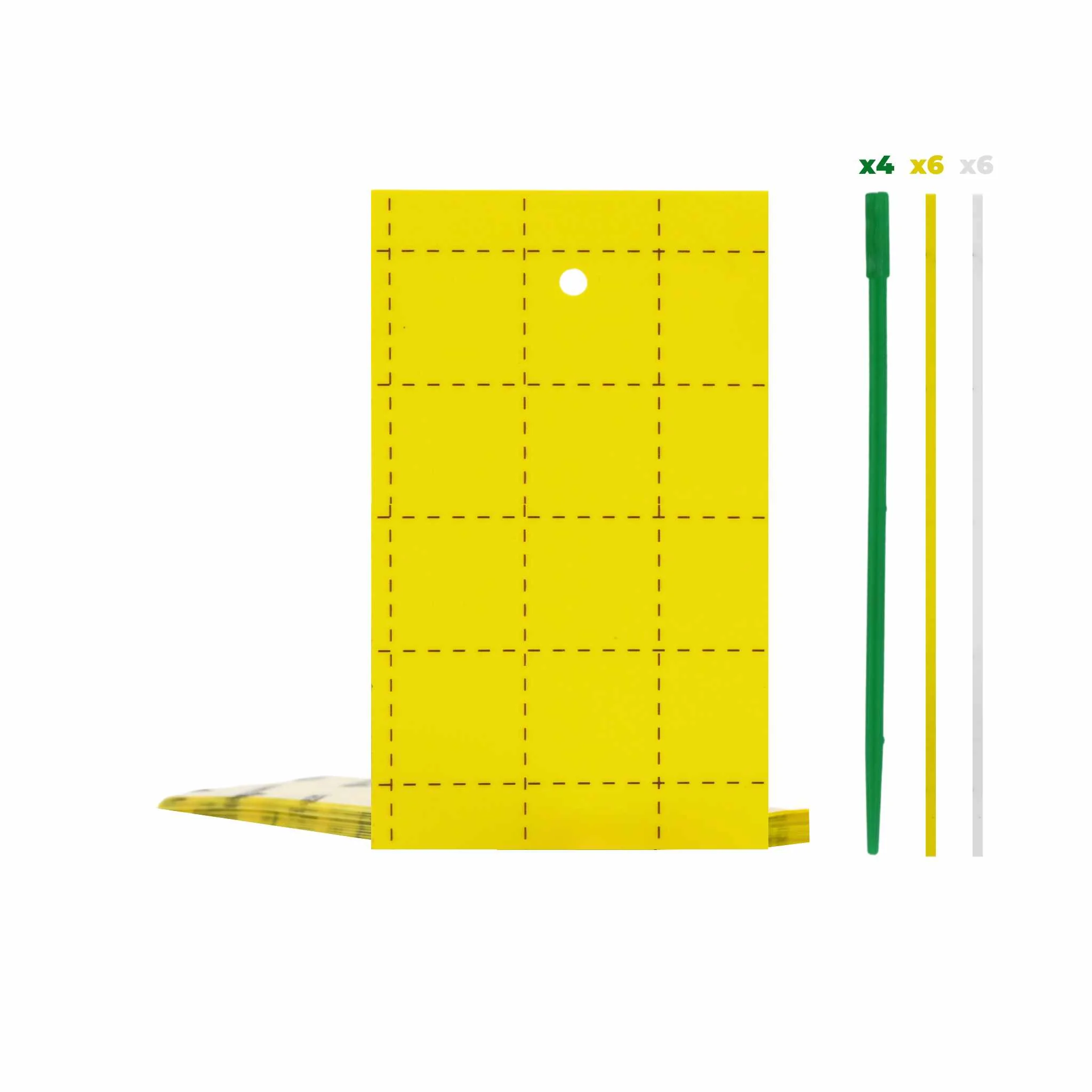 Pest Control Sticky Trap Cards - Image 10