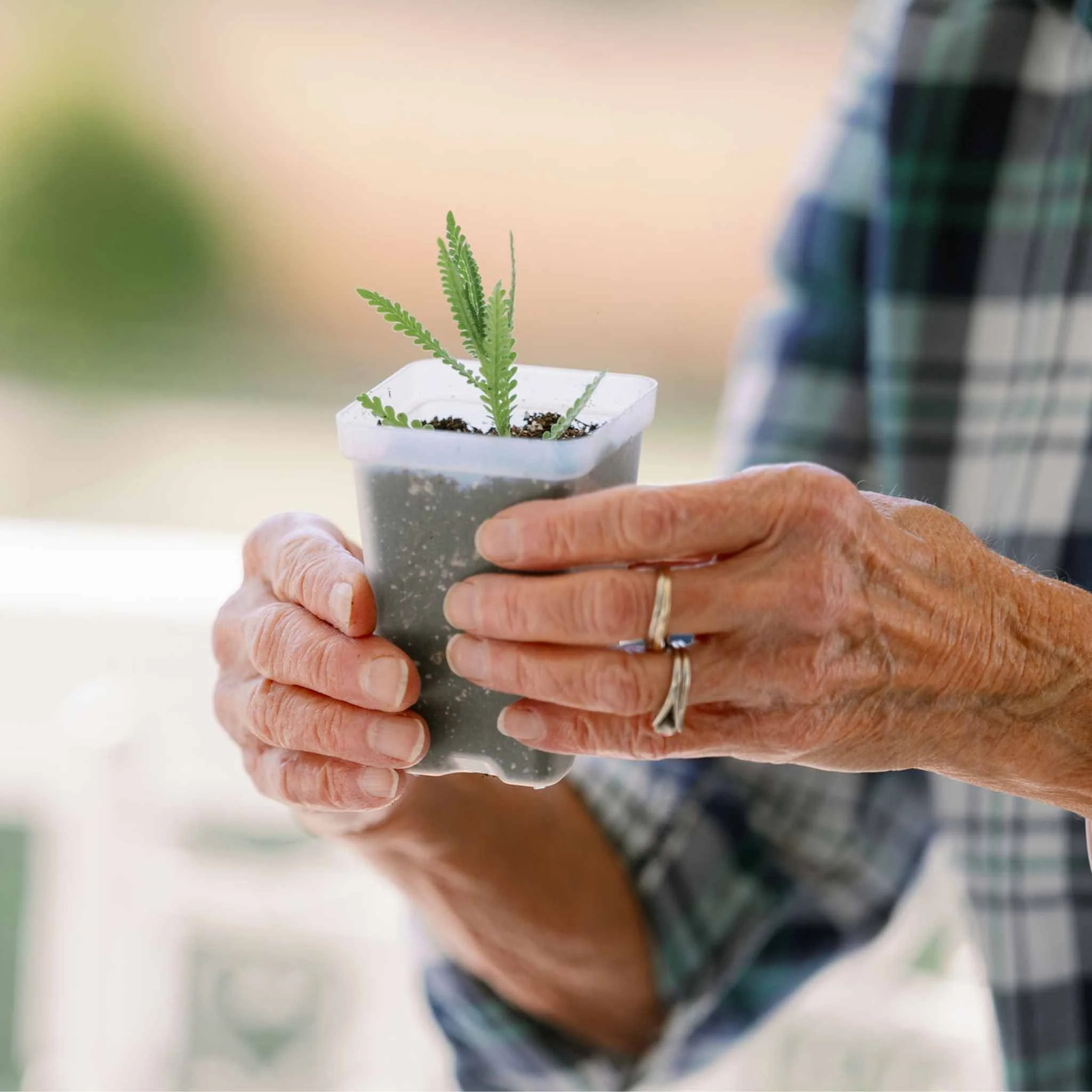 Propagation Kit | For Cuttings, Seedlings and More - Image 7