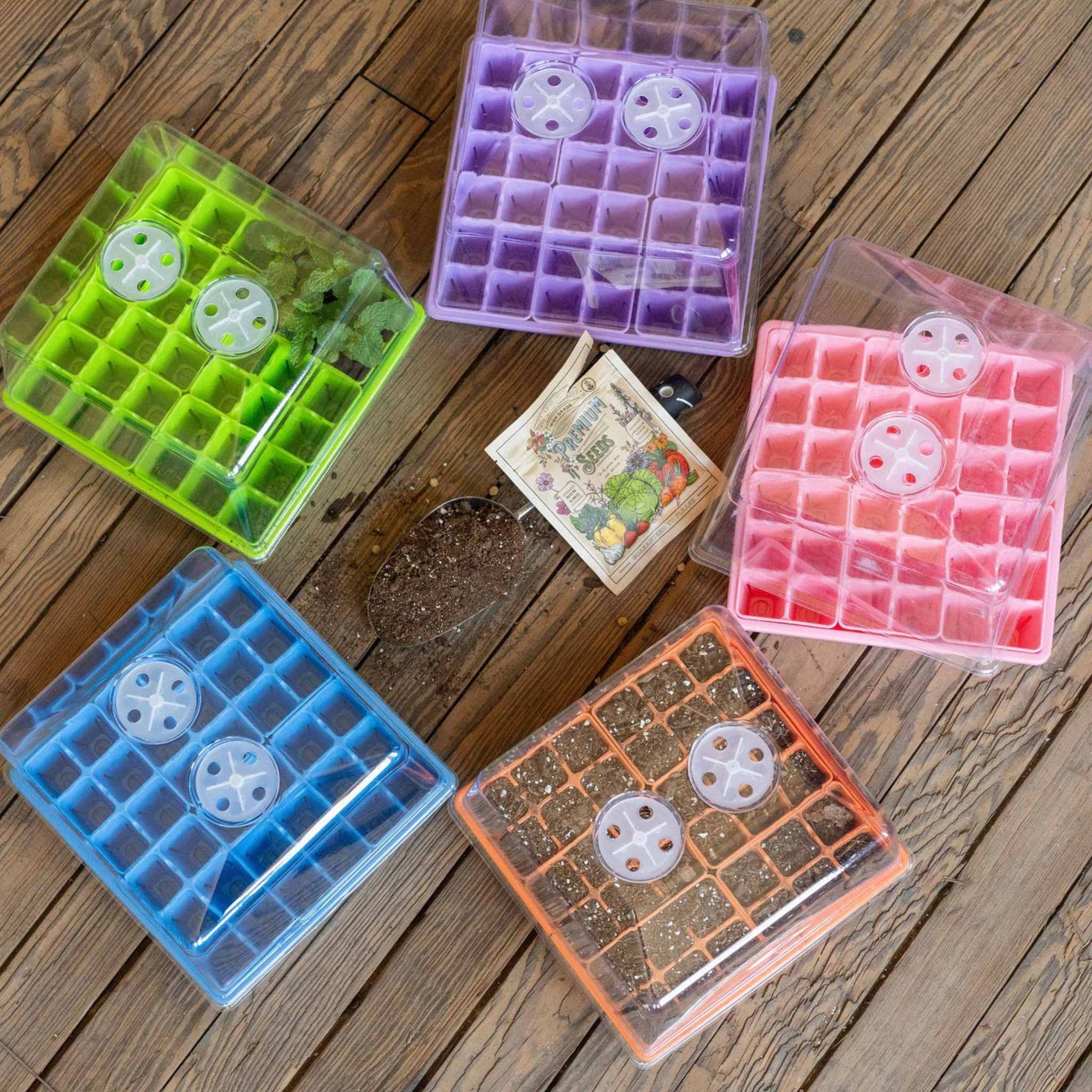 Seed Starting Workshop Bundle - Image 3