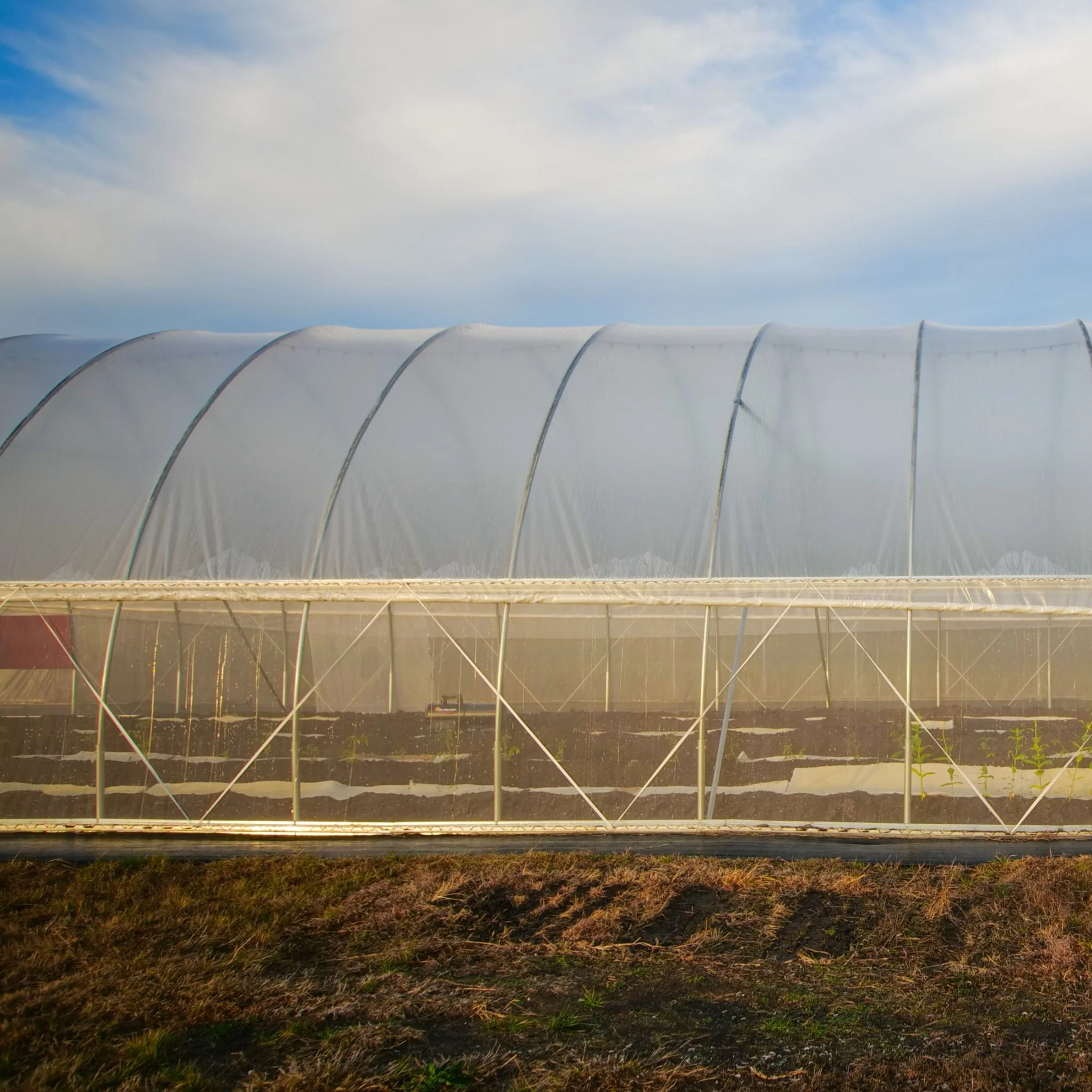 DIY Greenhouse Roll-Up Side Curtain Kit - Image 5