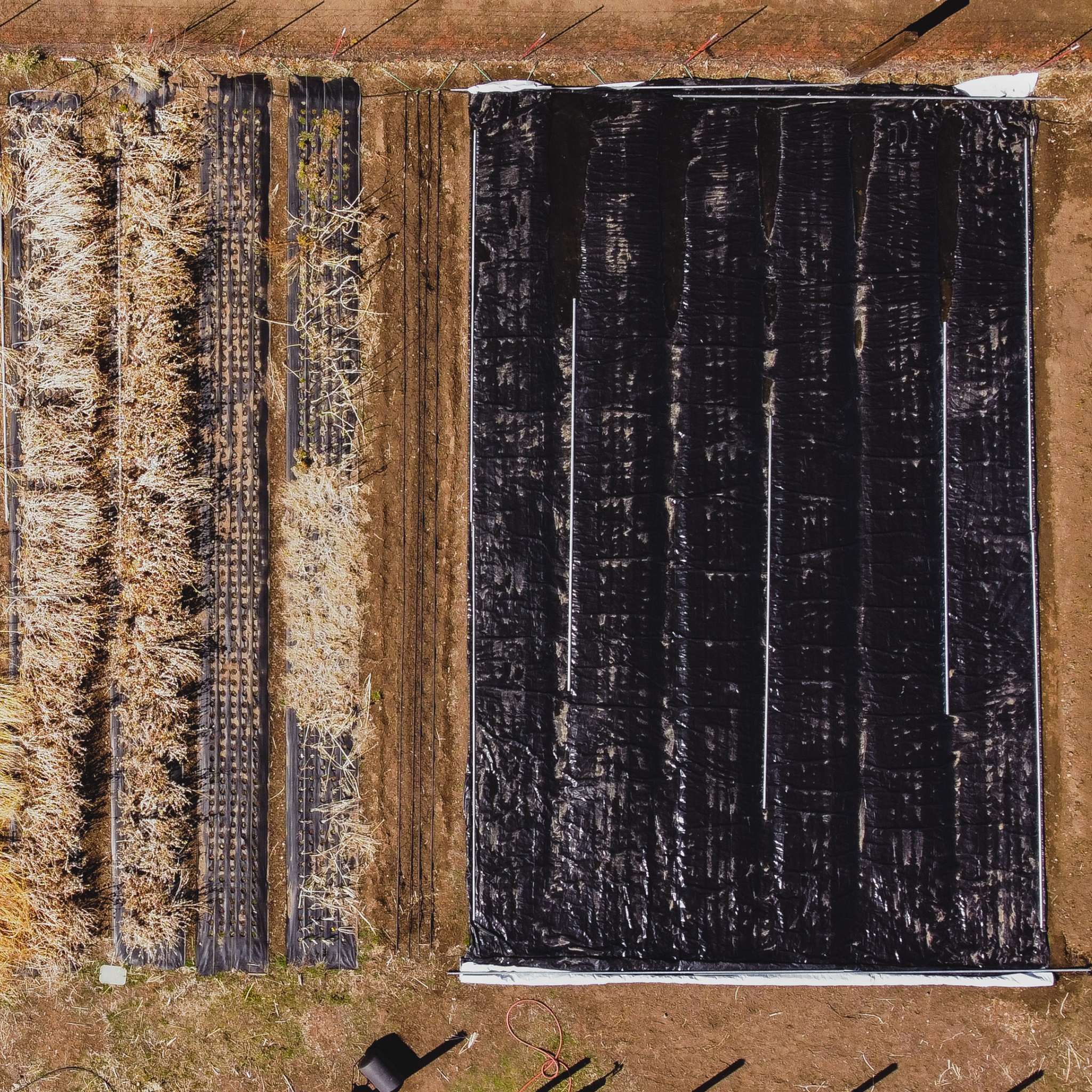 Silage Tarp - 6 mil Reversible Black & White - Image 5