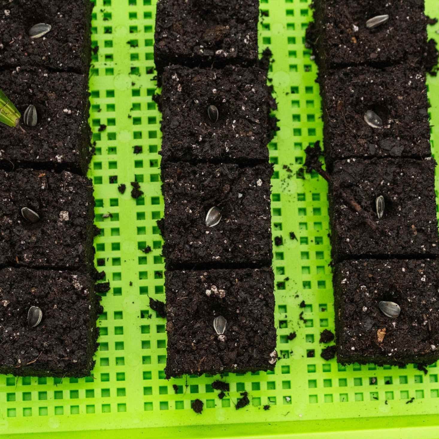 Soil Blocking Starter Kit - Image 10