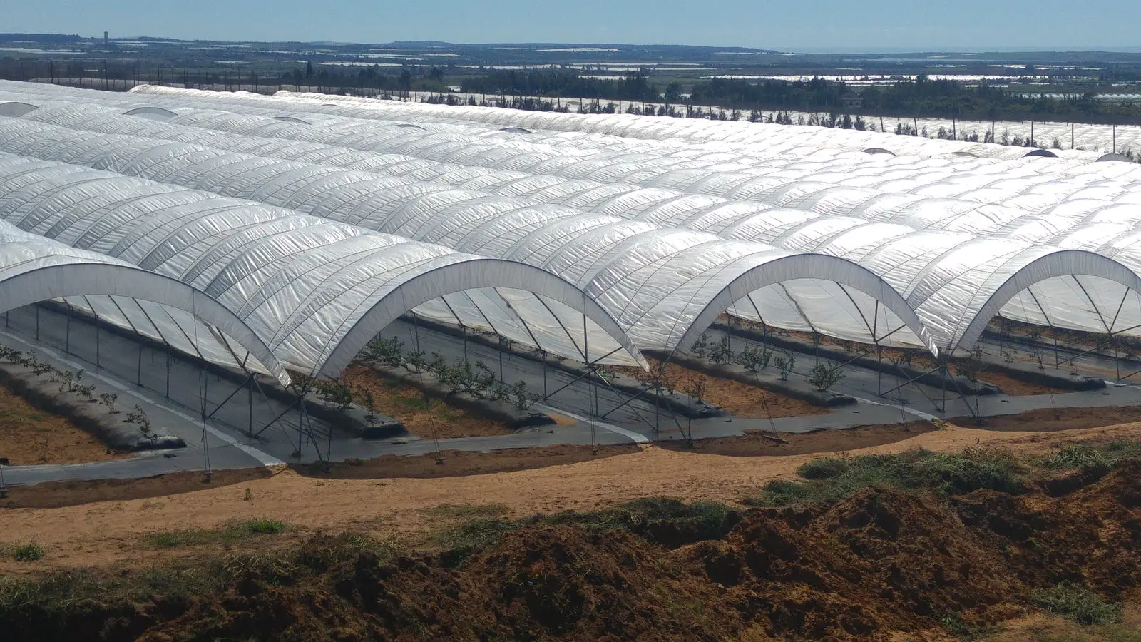 Greenhouse Woven Plastic 8 mil- Solarig 156 - Image 7