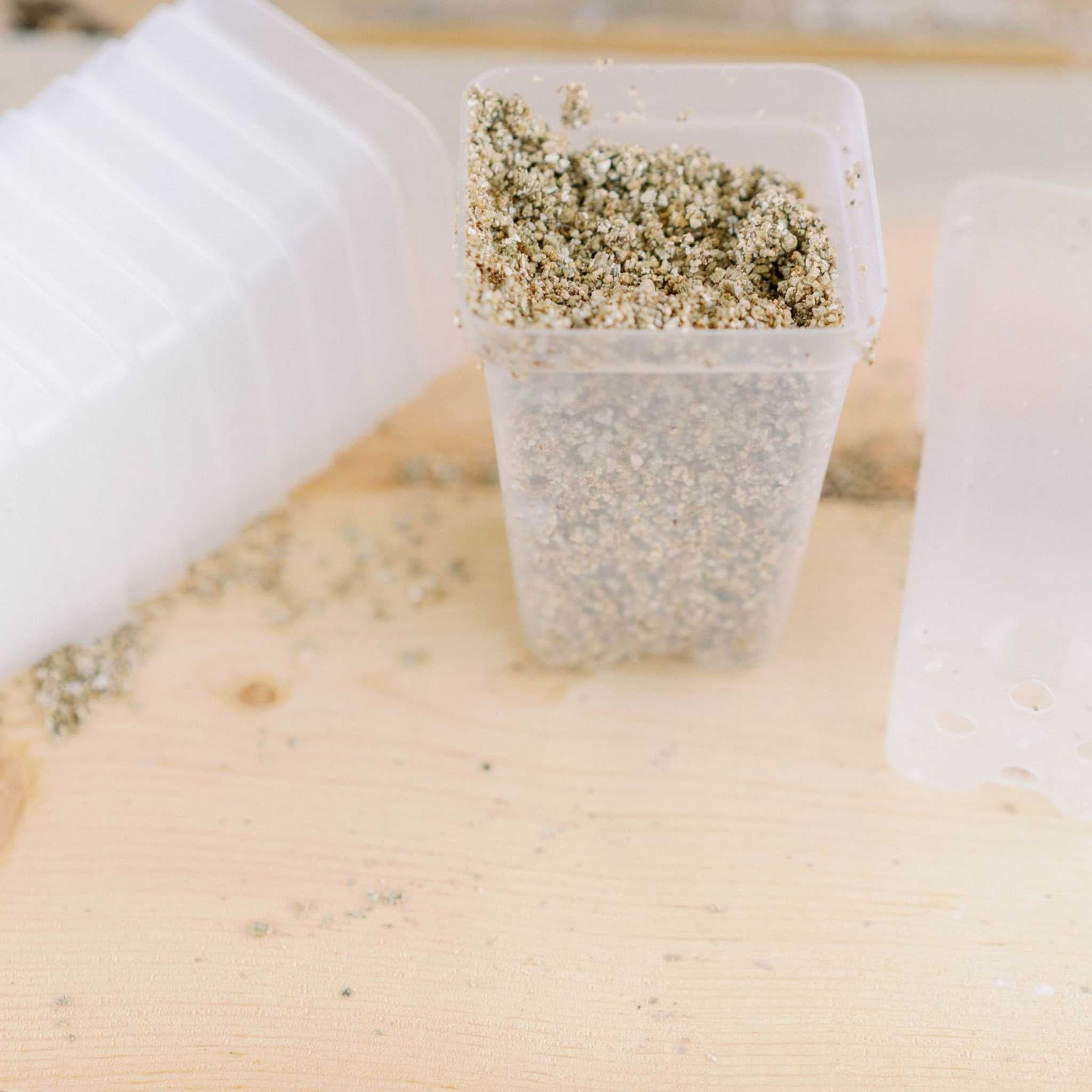 Seed Starter Pots - 2.5" Extra Strength - Image 13