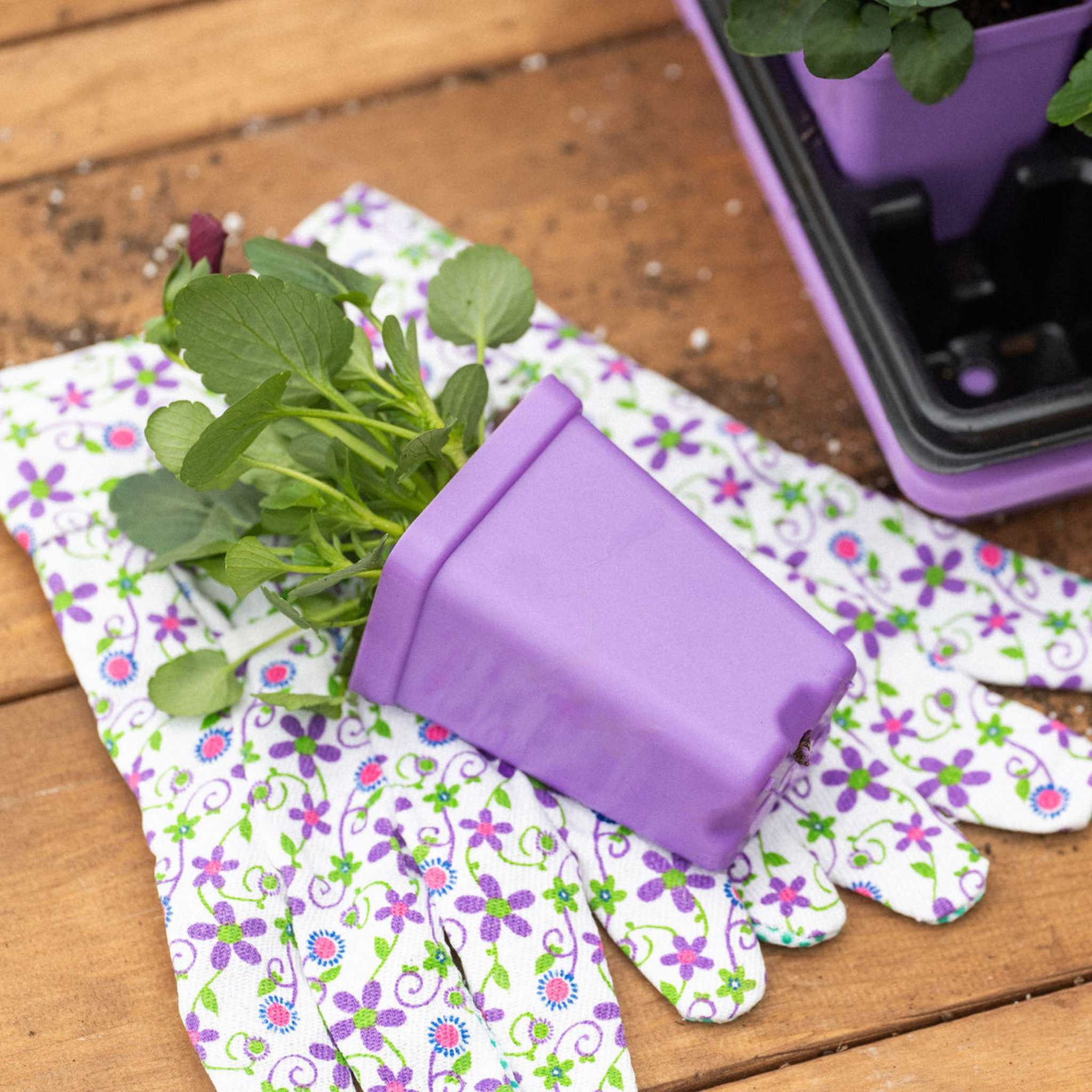 Seed Starter Pots - 2.5" Extra Strength - Image 21