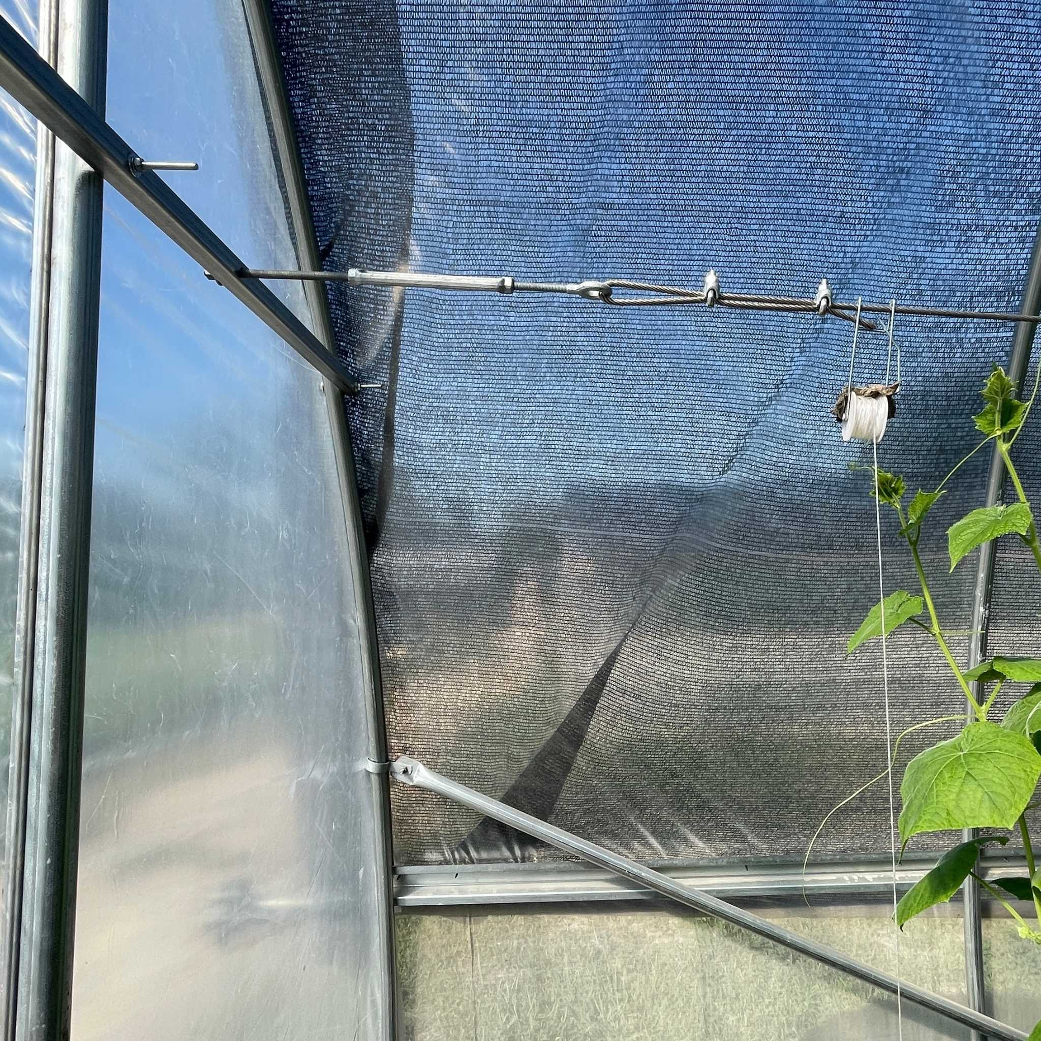 Complete Trellising System - Image 5