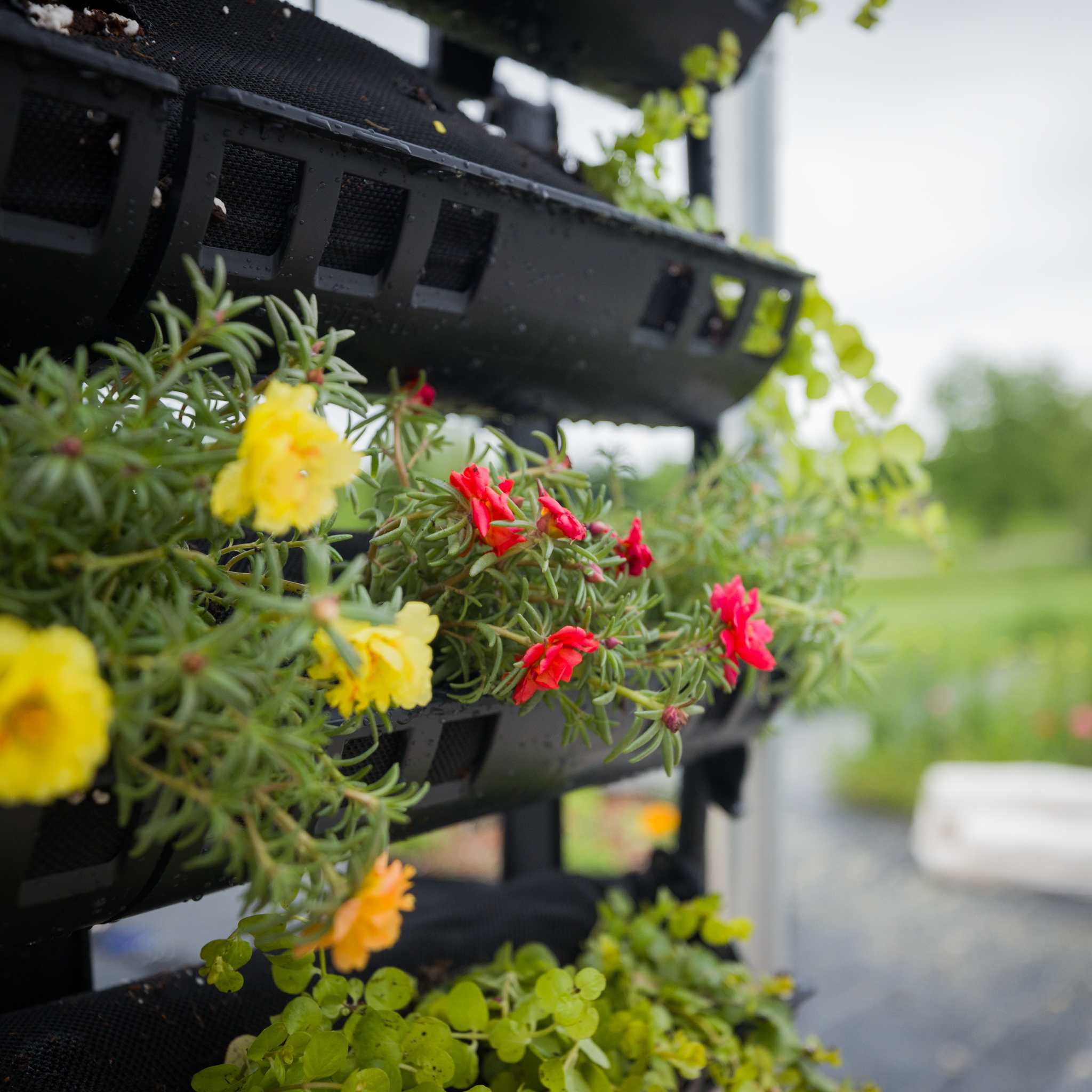 Varden™ Kitchen Garden - Image 3