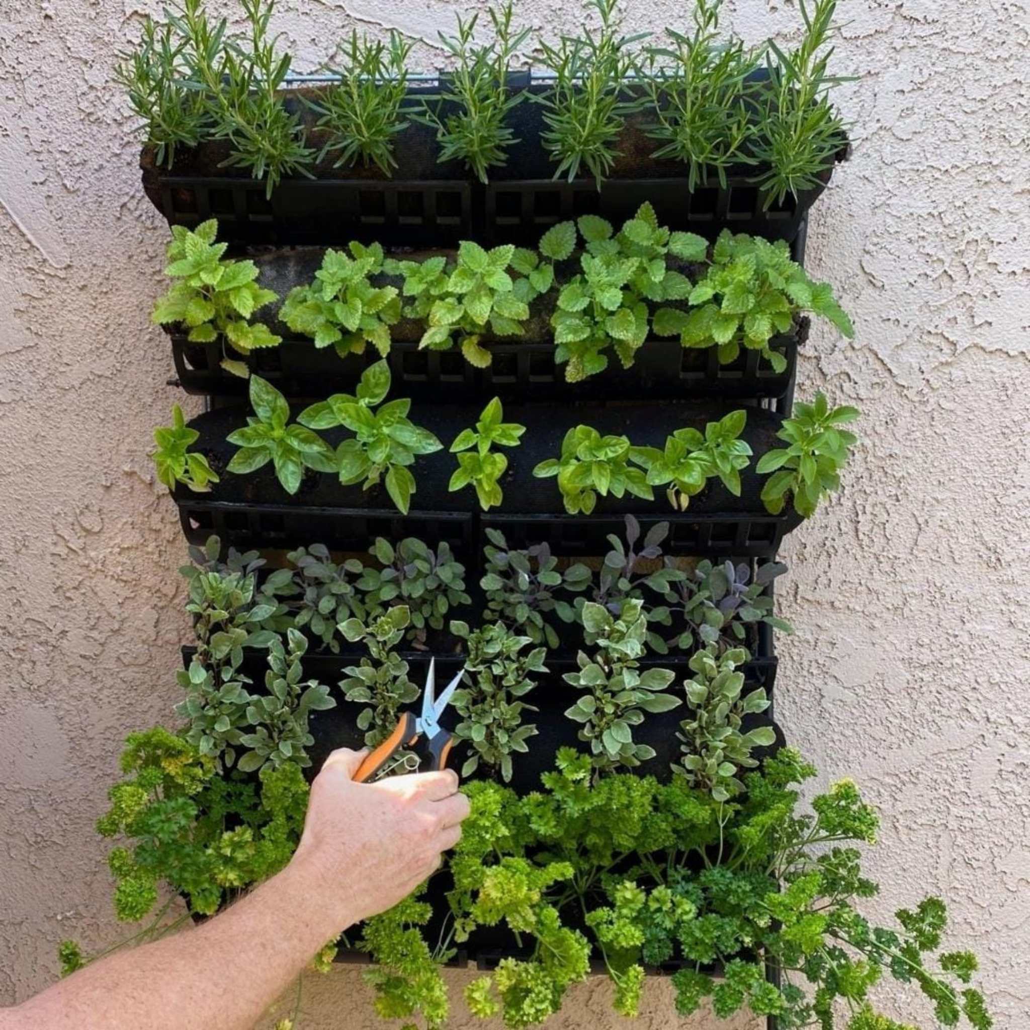 Varden™ Kitchen Garden - Image 5