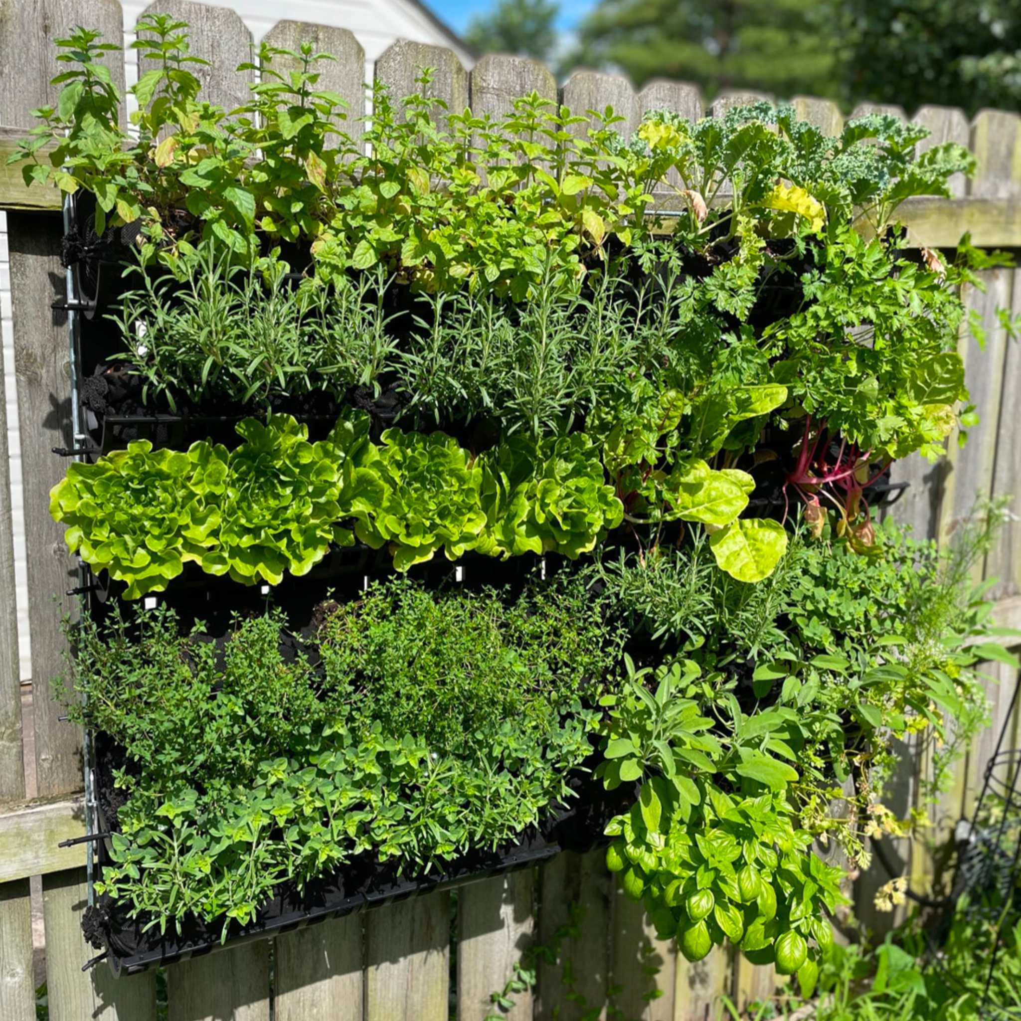 Varden™ Kitchen Garden - Image 7