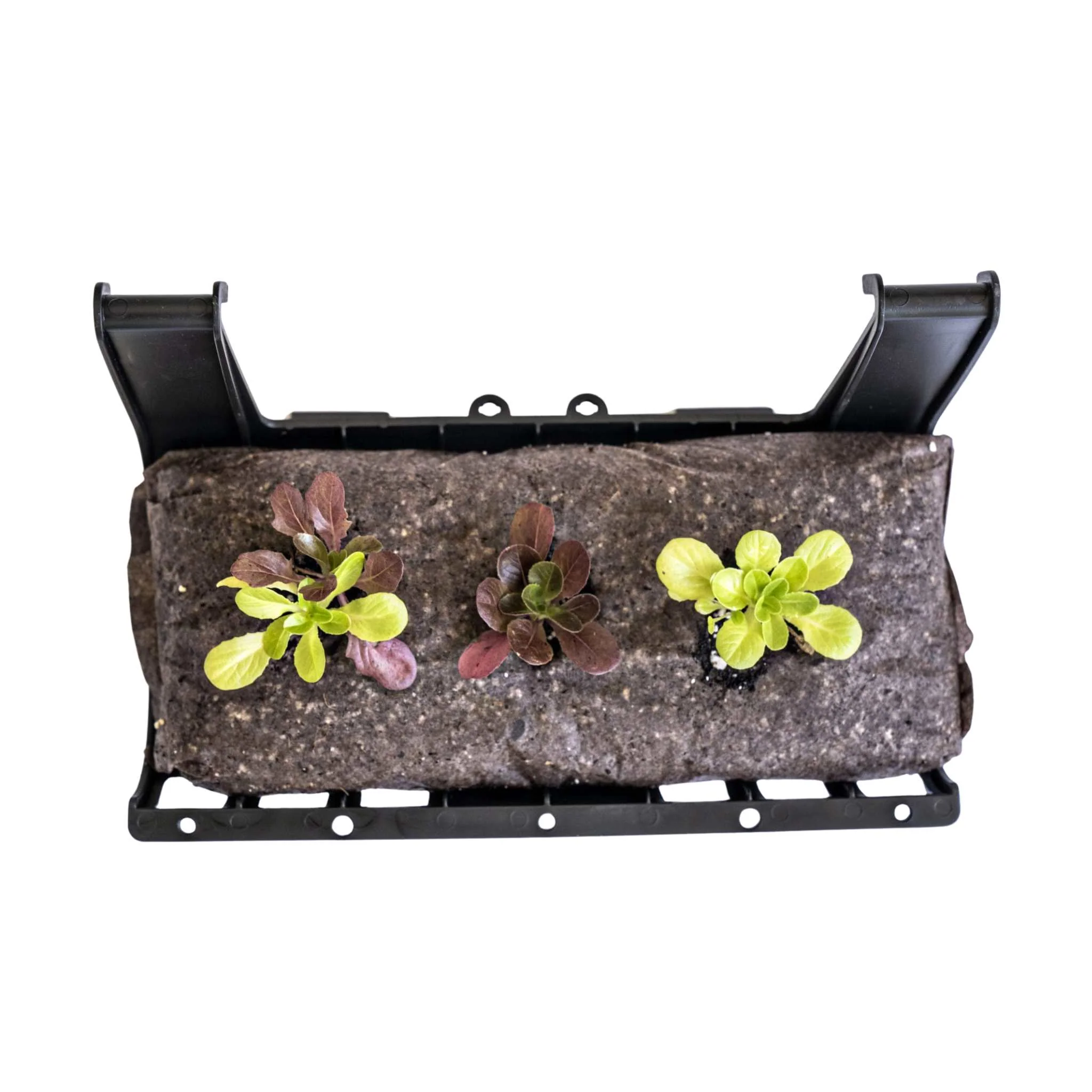 Varden™ Trays - Image 4