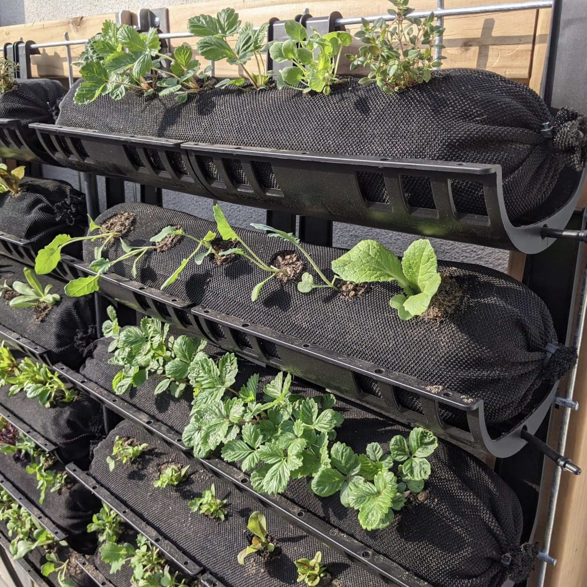 Varden™ Trays - Image 7